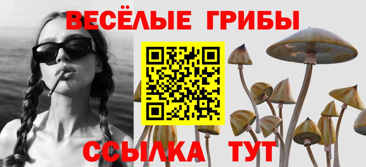 Галлюциногенные грибы прущие грибы Урай